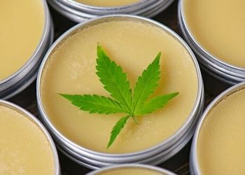 Cannabidiol bei Cellulite einsetzen