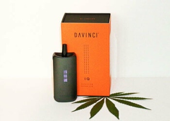 Der IQ von DaVinci: Mehr Erfindergeist geht nicht