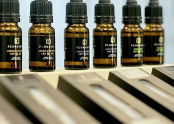 MariMed sichert sich über die Hälfte der Firmenanteile von MediTaurus