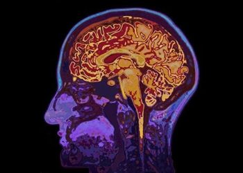 Was Cannabis im Gehirn bewirken kann