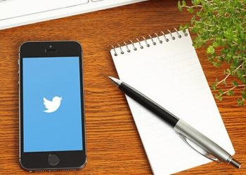 Mexiko befragt seine Bevölkerung bei Twitter über Cannabis Legalisierung