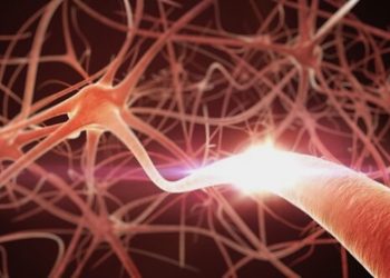 Pharmakokinetik und Pharmakodynamik von Cannabinoiden