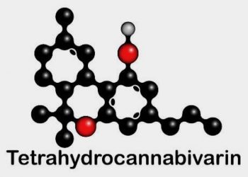 THCV: Was kann das seltene Cannabinoid?
