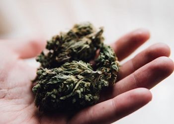 Die Analytik von Cannabisprodukten