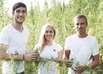 BioBloom: CBD-Produkte in Bio Qualität