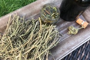 Tintura di cannabinoidi da steli e scarti di cannabis