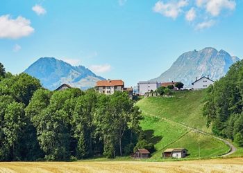 Konsumentwicklung in der Schweiz spricht für kontrollierten Cannabis-Handel