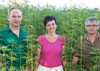 Willkommen im Hanfland