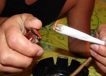 Ist die Entwicklung des Schwarzmarktes ein Argument für oder gegen die Legalisierung von Cannabis?