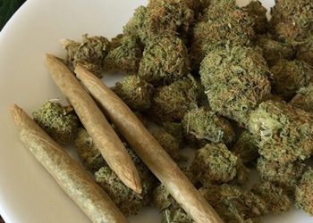 Ist der Cannabis-Rausch eine Frage der genetischen Veranlagung?