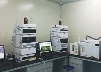 Optima CBD – Das reinste CBD-Öl in Europa