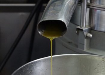 CBD Extraktion – Die gängigen Methoden im Überblick