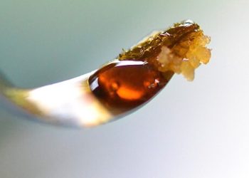 FDA plant die baldige Regulierung von CBD-Produkten