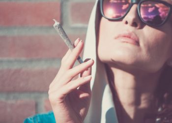 Festivals und Drogenkontrollen im Straßenverkehr – Die Rechtslage und Behördenpraxis in Österreich