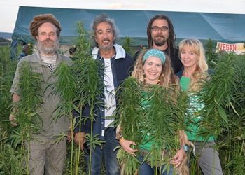 Reggae im Hanffeld – Karibische Klänge in der Natur