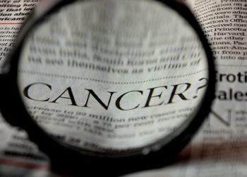 Cannabis-Wirkstoff zeigt großes Potenzial gegen Bauchspeicheldrüsenkrebs