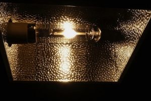 Beides glüht und leuchtet... CMH-Lampen vs. NDL