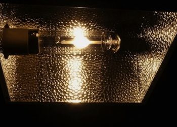 Beides glüht und leuchtet… CMH-Lampen vs. NDL