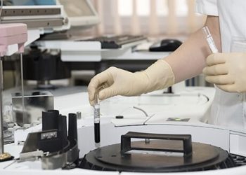 Kanada: 24,5 Millionen Dollar für die Cannabis-Forschung