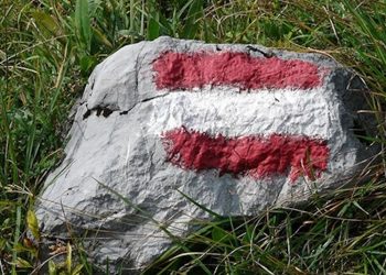 Cannabis-Umfrage in Österreich: CBD soll frei verfügbar sein!