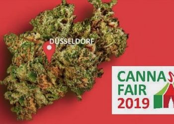 Cannafair 2019 – Die Hanfmesse in Düsseldorf