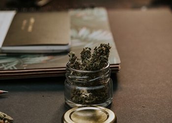 Legalisierungsdemo in Hamburg vor dem Landgericht