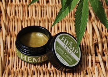Endoca Hemp Salve – Arznei, Pflege oder beides?