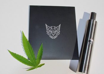 Unglaublich aber wahr: Der Linx Eden Vaporizer