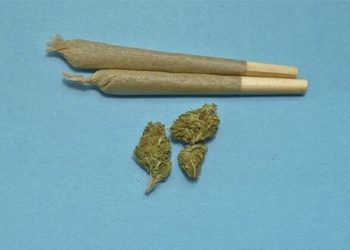 MMA Star Nate Diaz raucht Joint bei öffentlichem Training