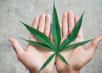 Warum sich die Lage für Cannabispatienten in Deutschland jetzt verbessern sollte