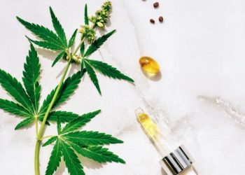 CBD-Öl erhöht die Wirksamkeit von Antibiotika