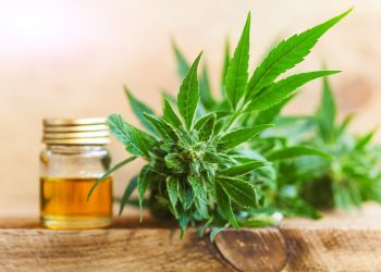 Canobo von CannaCare Health – Cannabidiol mit Herz und Verstand