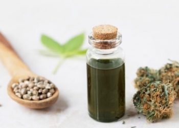 CBD und Novel Food – wie novel ist CBD eigentlich?