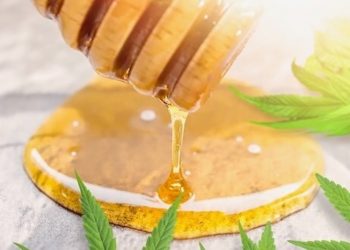 CBD und Honig – Wie füreinander geschaffen