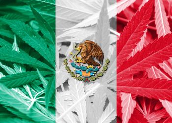 Legalisierung von Cannabis in Mexiko im Oktober 2019