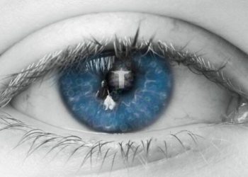 Forscher planen klinische Studie mit Cannabis-Augentropfen