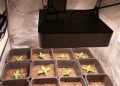 Growtest: Bioledex GoLeaf X1