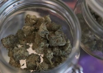 Erstes Café für Cannabiskonsum in Israel