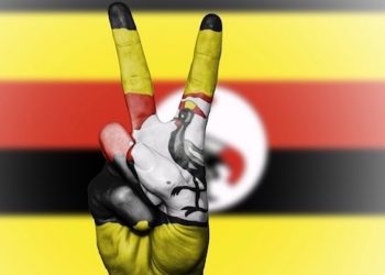 Uganda plant den Export von medizinischem Cannabis nach Europa