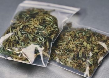 SPD: Einheitliche Kleinstmengen von Cannabis sind keine Lösung