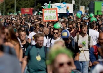 Große Mehrheit für den liberalen Umgang mit Cannabis