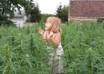 The Holy Company – Jeden Tag eine gute Tat