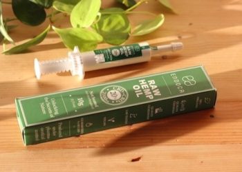CBD für den erfahrenen Nutzer – Endoca Raw Hemp Oil 20% CBD