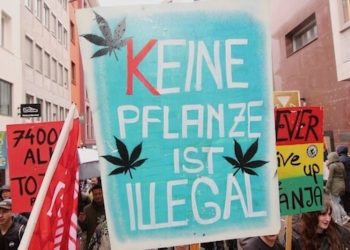10 unschlagbare Argumente für die Legalisierung von Cannabis