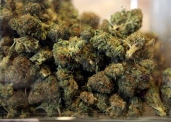 Patienten auf Sizilien erhalten medizinisches Cannabis gratis