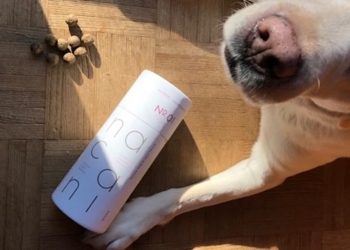 Nacani Hundeleckerli No. 1 Huhn – Ein CBD-Snack, der ankommt