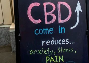 Britische Lebensmittelaufsicht reguliert CBD-Produkte