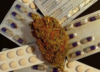 Cannabistherapie bei ADHS