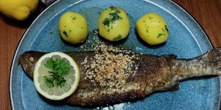 Forelle-Hanfmuellerin