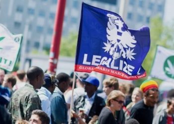 Österreich: Jurastudent kämpft für Cannabis-Legalisierung